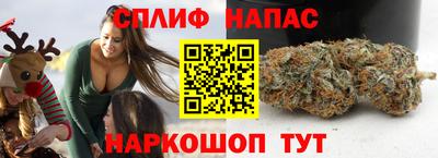 гашик Малгобек