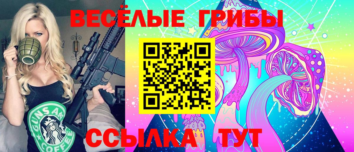 Псилоцибиновые грибы Psilocybine cubensis Дедовск