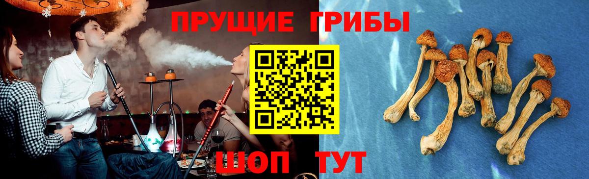 Псилоцибиновые грибы прущие грибы  Вход с VPN  Дедовск 